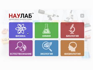 Запущенная программа Naulab